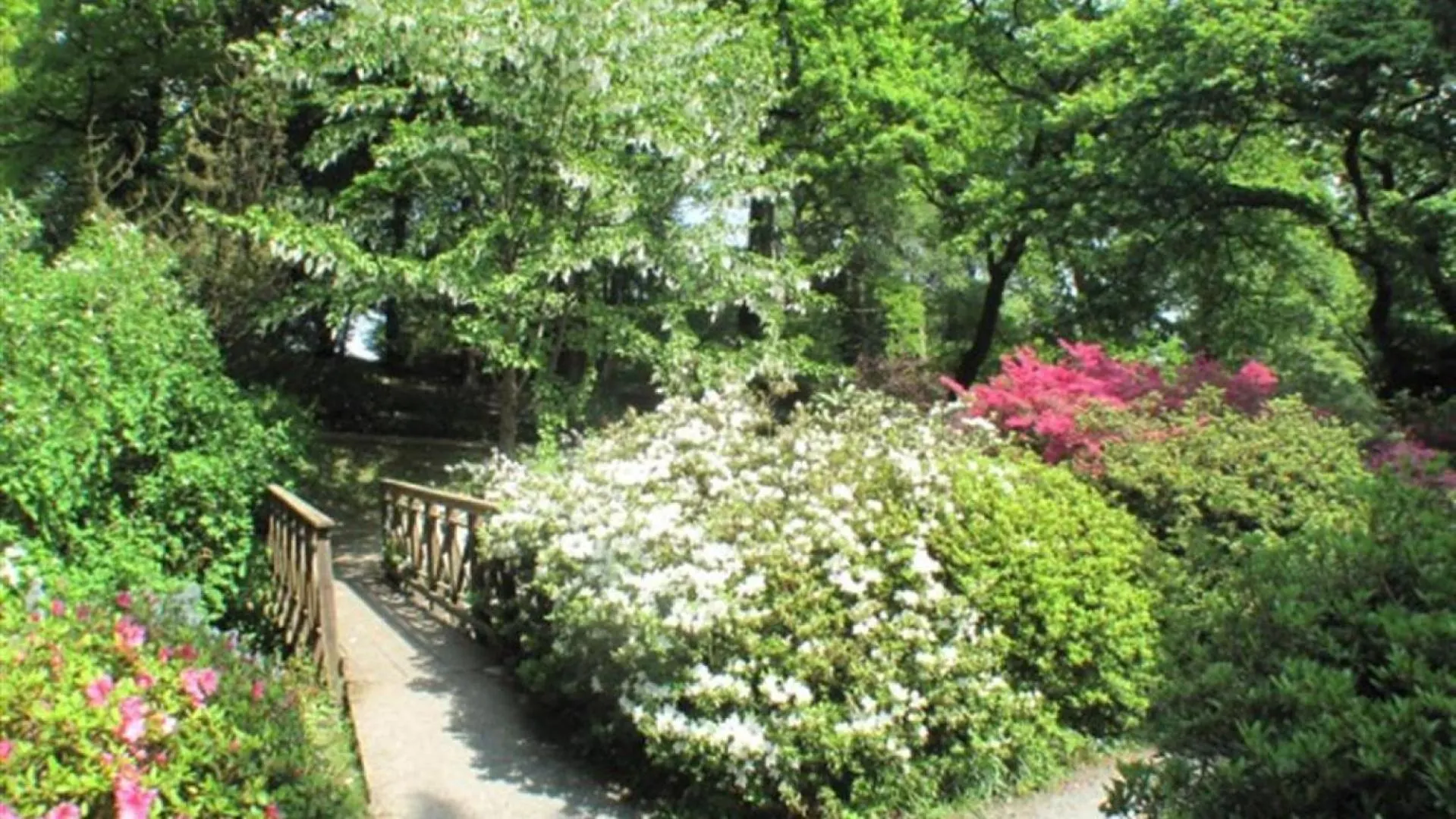 Roman Bridge Close Oystermouth